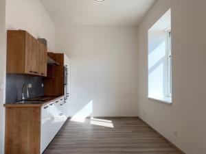 Pronájem bytu 1+kk, Kralupy nad Vltavou, S. K. Neumanna, 31 m2