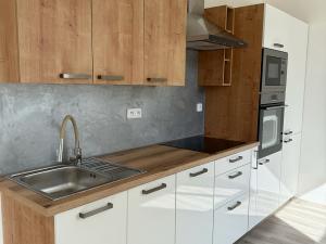 Pronájem bytu 1+kk, Kralupy nad Vltavou, S. K. Neumanna, 31 m2