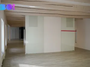 Pronájem kanceláře, Praha, Zubatého, 260 m2