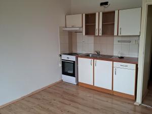 Pronájem bytu 1+kk, Duchcov, Osecká, 23 m2