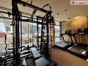 Prodej bytu 1+kk, Harrachov, 28 m2