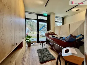 Prodej bytu 1+kk, Harrachov, 28 m2