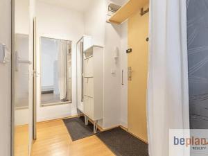 Pronájem bytu 1+kk, Praha - Žižkov, Spojovací, 30 m2