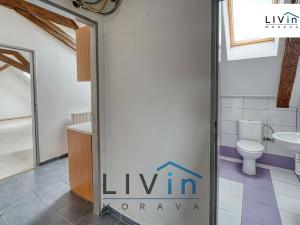 Pronájem bytu 1+1, Olomouc, Zámečnická, 30 m2