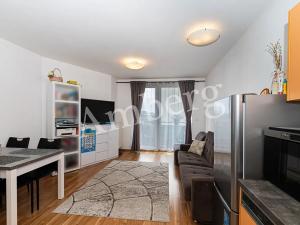 Pronájem bytu 2+kk, Praha - Hostivař, Rižská, 52 m2