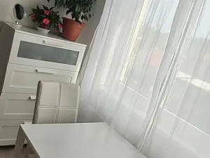 Pronájem bytu 1+kk, Stráž, 42 m2