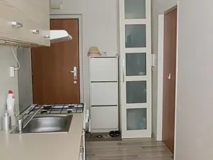 Pronájem bytu 1+kk, Stráž, 42 m2