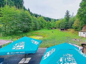 Prodej komerční nemovitosti, Valašské Klobouky, 467 m2