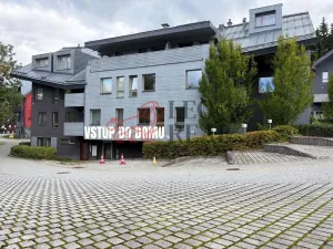 Prodej bytu 2+kk, Harrachov, 77 m2