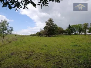 Prodej pozemku pro bydlení, Lovečkovice - Mukařov, 3539 m2