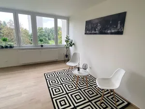 Prodej bytu 1+kk, Praha - Karlín, Nekvasilova, 30 m2