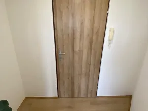 Prodej bytu 1+kk, Praha - Karlín, Nekvasilova, 30 m2
