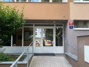 Prodej bytu 1+kk, Praha - Karlín, Nekvasilova, 30 m2