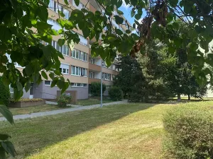 Prodej bytu 1+kk, Praha - Karlín, Nekvasilova, 30 m2