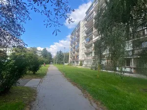 Prodej bytu 1+kk, Praha - Karlín, Nekvasilova, 30 m2