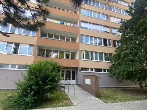 Prodej bytu 1+kk, Praha - Karlín, Nekvasilova, 30 m2