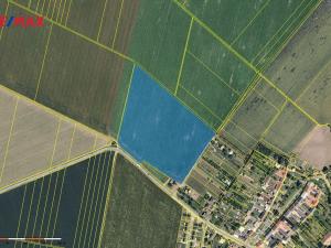 Prodej podílu 2/3 pole, Těšetice, 172887 m2