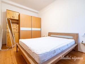 Pronájem bytu 2+kk, Praha - Nusle, U družstva Život, 59 m2