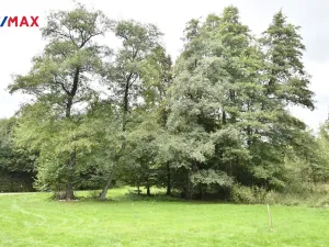 Prodej chaty, Opatovice I, 35 m2