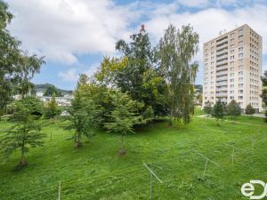 Prodej bytu 2+1, Semily, Luční, 52 m2