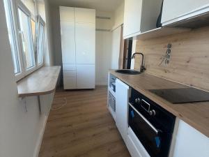Prodej bytu 1+1, Praha - Veleslavín, Veleslavínská, 54 m2