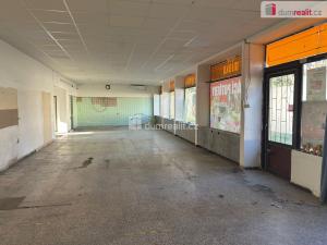 Pronájem obchodního prostoru, Kolín - Kolín V, Třídvorská, 324 m2