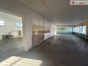 Pronájem obchodního prostoru, Kolín - Kolín V, Třídvorská, 324 m2