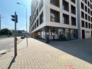 Pronájem obchodního prostoru, Brno, Slovákova, 101 m2