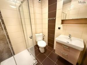 Pronájem bytu 2+kk, Háj u Duchcova, Kubátova, 49 m2