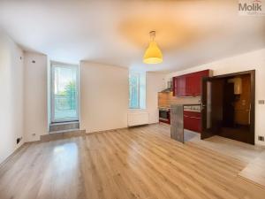 Pronájem bytu 2+kk, Háj u Duchcova, Kubátova, 49 m2