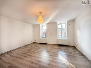 Pronájem bytu 2+kk, Háj u Duchcova, Kubátova, 49 m2