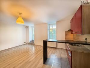Pronájem bytu 2+kk, Háj u Duchcova, Kubátova, 49 m2