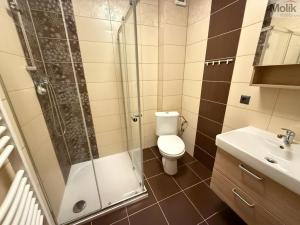 Pronájem bytu 2+kk, Háj u Duchcova, Kubátova, 49 m2