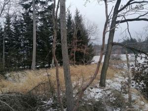 Prodej lesa, Votice - Hory, 9012 m2