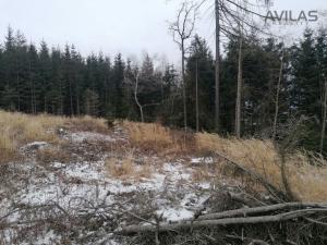 Prodej lesa, Votice - Hory, 9012 m2