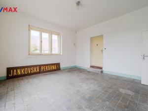 Prodej vícegeneračního domu, Jankov, Blanická, 410 m2