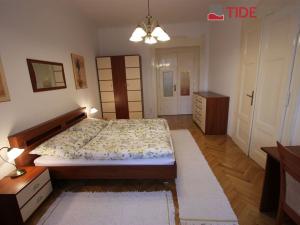 Pronájem bytu 2+1, Praha - Nové Město, Dřevná, 80 m2