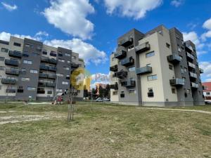 Pronájem bytu 2+kk, Plzeň - Bolevec, U Velkého rybníka, 57 m2