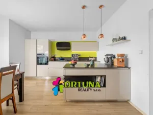 Prodej rodinného domu, Úsilné, 159 m2