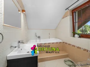 Prodej rodinného domu, Úsilné, 159 m2