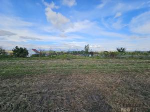 Prodej pozemku pro bydlení, Skoronice, 2691 m2