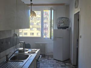 Prodej bytu 3+1, Ústí nad Labem - Mojžíř, Jindřicha Plachty, 78 m2