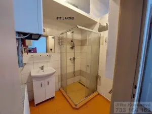 Prodej činžovního domu, Krnov - Pod Bezručovým vrchem, Albrechtická, 300 m2