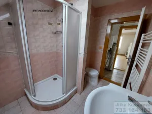 Prodej činžovního domu, Krnov - Pod Bezručovým vrchem, Albrechtická, 300 m2