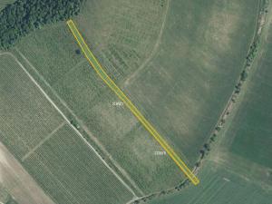 Prodej sadu/vinice, Brumovice, 4866 m2