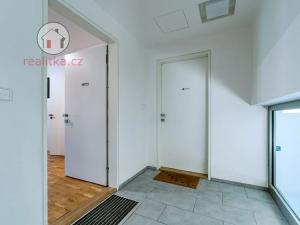 Prodej bytu 2+kk, Praha - Žižkov, Havlíčkovo náměstí, 60 m2