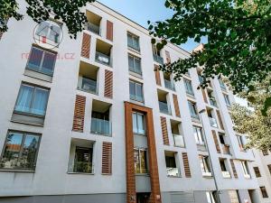 Prodej bytu 2+kk, Praha - Žižkov, Havlíčkovo náměstí, 60 m2