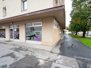 Pronájem bytu 2+1, Praha, Nuselská, 45 m2