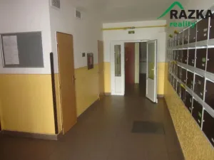 Prodej bytu 1+kk, Jindřichův Hradec, Sídliště Vajgar, 27 m2