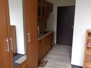 Pronájem bytu 1+kk, Sázava, Poznaňská, 17 m2